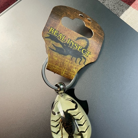 Real insect key chain - Picture 3 of 7